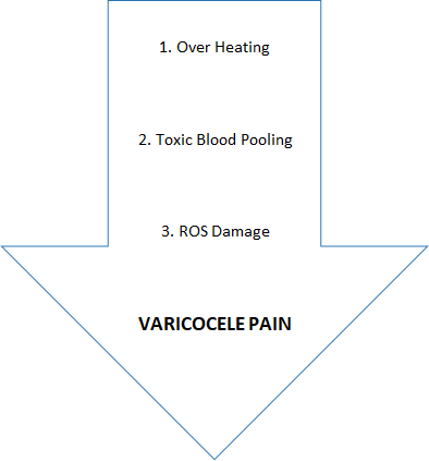 Varicocele Pain Treatment - Varicocele Healing